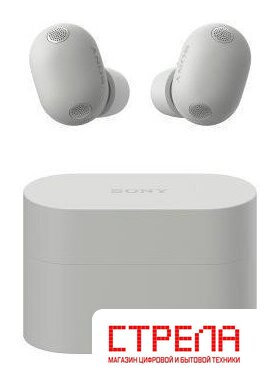 Наушники Sony WF-1000XM6 (серый)
