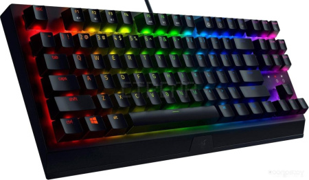 Клавиатура RAZER BlackWidow V3 Tenkeyless Green Switch
