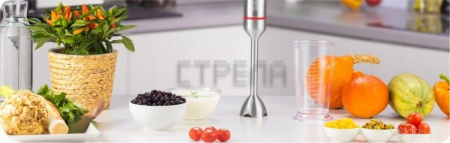 Погружной блендер Zelmer ZHB4650