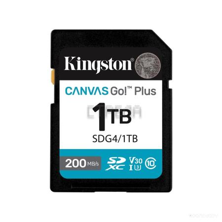 Карта памяти Kingston SDG4/1TB