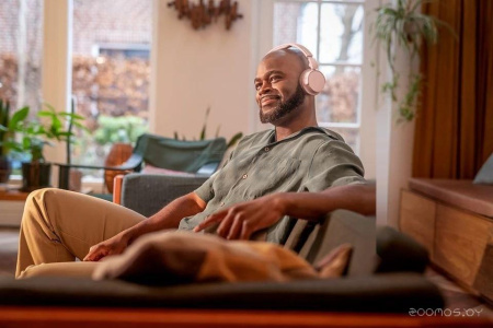 Наушники Philips TAH4209 (розовый)