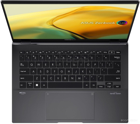 Ноутбук Asus ZenBook 14 UM3402YA-KP838