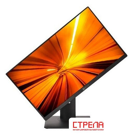 Моноблок ТЕСЛА P24BP 2416500