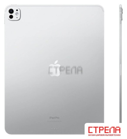 Планшет Apple iPad Pro 13" 2024 5G 256GB (серебристый)