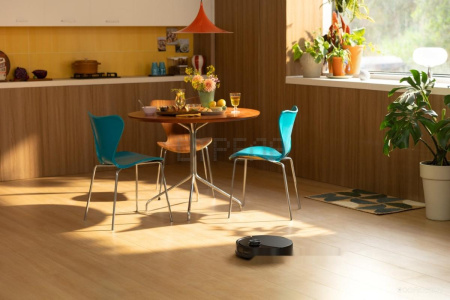 Робот-пылесос Roborock Q8 Max Pro RRA1TAL Q8MRP52-02 (с русской озвучкой, черный)