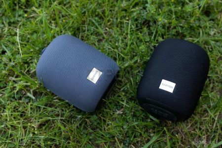 Беспроводная колонка Canyon BSP-8 (серый)