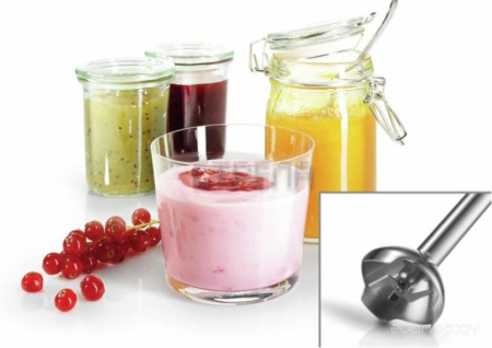 Погружной блендер Bosch MSM2620B