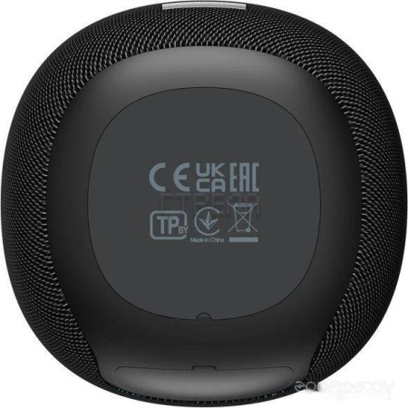 Беспроводная колонка Canyon BSP-8 (черный)