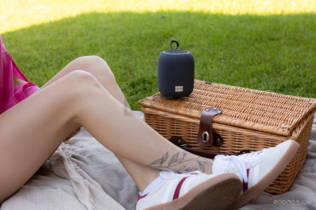 Беспроводная колонка Canyon BSP-8 (серый)