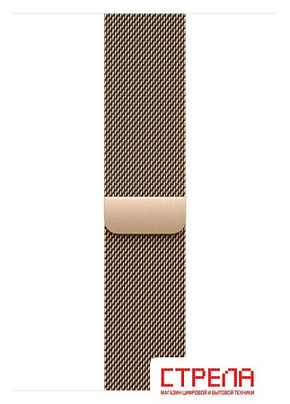 Умные часы Apple Watch Series 11 LTE 46 мм (титановый корпус, золотистый/золотистый, миланская петля M/L)