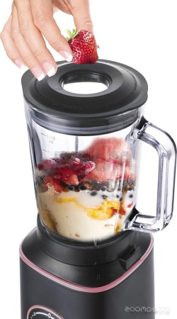 Стационарный блендер Zigmund & Shtain BS-442D