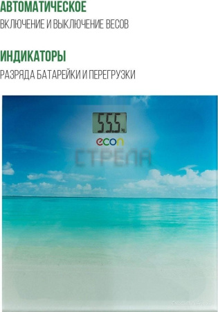 Напольные весы ECON ECO-BS018