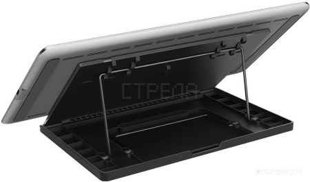 Интерактивный дисплей Huion Kamvas Pro 12 GT-116