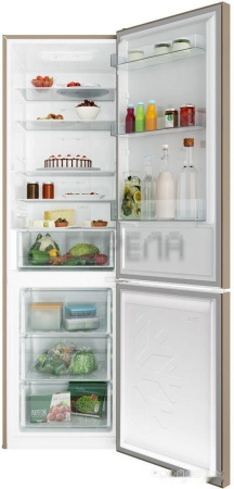 Холодильник Candy CCRN 6200G