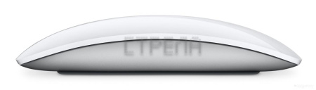 Мышь Apple Magic Mouse (белый)