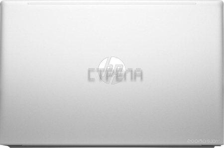 Ноутбук HP ProBook 450 G10 816J2EA