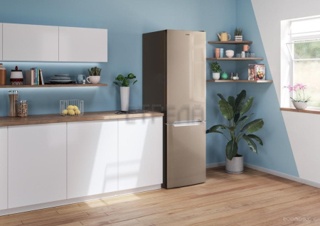 Холодильник Candy CCRN 6200G