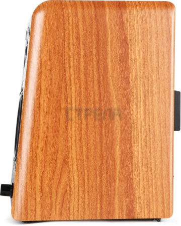 Акустика Microlab B77BT