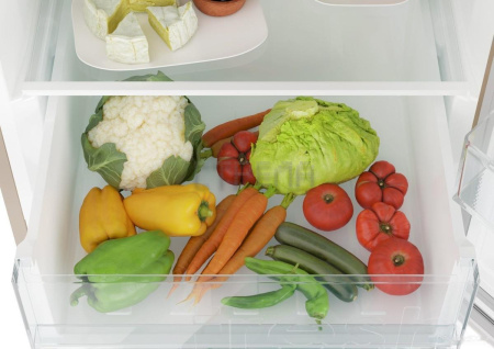 Холодильник Candy CCRN 6200G