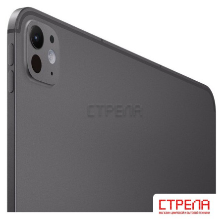 Планшет Apple iPad Pro 13" 2025 5G 512GB (черный космос)