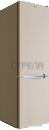 Холодильник Candy CCRN 6200G