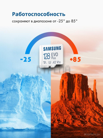Карта памяти Samsung EVO Plus 2021 microSDXC 128GB (с адаптером)
