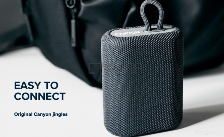 Беспроводная колонка Canyon CNE-CBTSP4BL