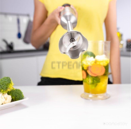 Погружной блендер Zelmer ZHB4650