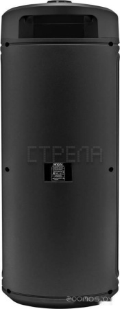 Беспроводная колонка Ginzzu GM-229