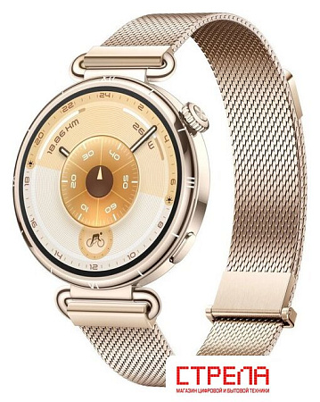 Умные часы Huawei Watch GT 6 41 мм (золотистый, с золотистым миланским браслетом, международная версия)