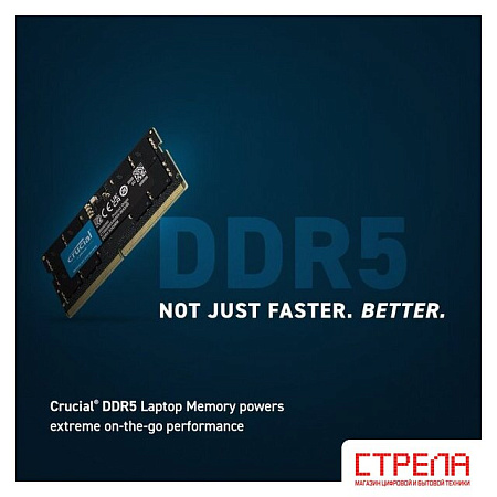 Оперативная память Crucial 32ГБ DDR5 SODIMM 5600 МГц CT32G56C46S5