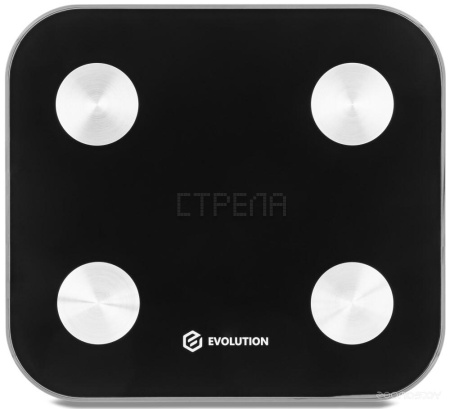 Напольные весы Evolution BTF2 (черный)
