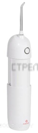 Ирригатор Evolution WF-01