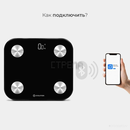 Напольные весы Evolution BTF2 (черный)