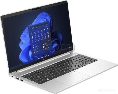 Ноутбук HP ProBook 450 G10 816J2EA
