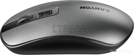 Мышь Canyon CNS-CMSW18DG