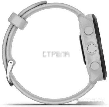 Умные часы Garmin Forerunner 55 (белый)