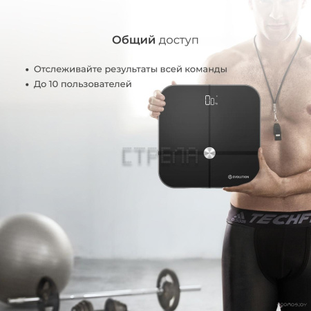 Напольные весы Evolution BTF3 (черный)