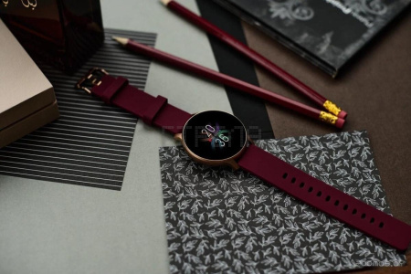 Умные часы Canyon Badian CNS-SW68RR (золотистый/бордовый)