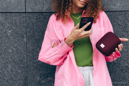 Беспроводная колонка Canyon BSP-8 (серый)