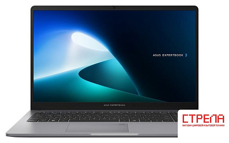 Ноутбук ASUS ExpertBook P1 P1503CVA-S72508