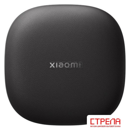 Наушники Xiaomi OpenWear Stereo Pro M2503E1 (графитовый черный, международная версия)