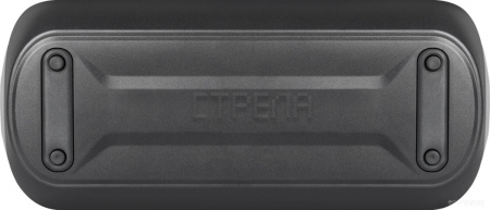 Беспроводная колонка Defender Enjoy S1000 (черный)