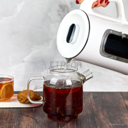 Электрический чайник Evolution KG15153 LCD