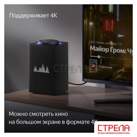 Умная колонка Яндекс Станция Макс (с хабом умного дома Zigbee, графит)