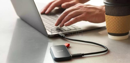 Внешний накопитель SanDisk Portable SDSSDE30-1T00-G25 1TB