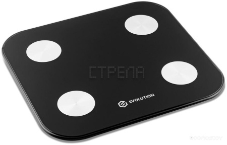 Напольные весы Evolution BTF2 (черный)