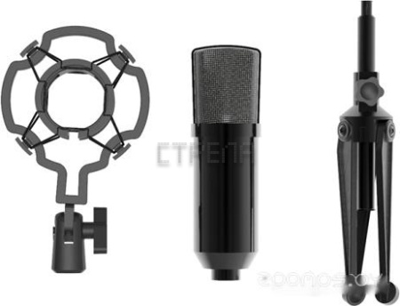 Микрофон Ritmix RDM-160