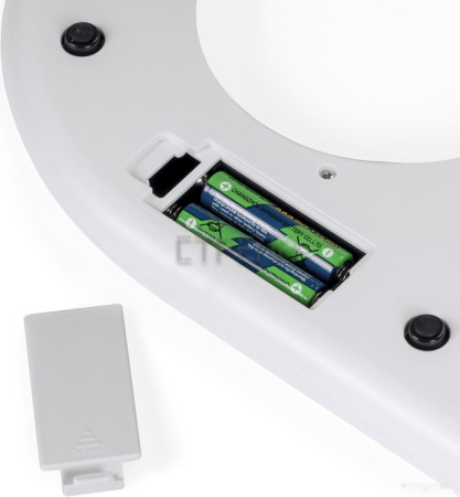 Кухонные весы GALAXY GL2801