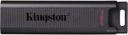USB Flash Kingston DataTraveler Max 256GB